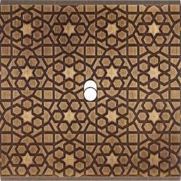 Switch plate Fascination...