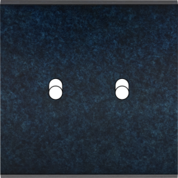 Placa del interruptor...