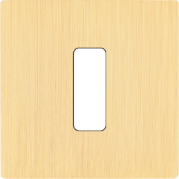 Placa de interrutor 'M'...