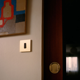 Mecanismo plano botón 1...