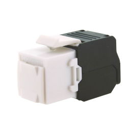 Núcleo Initio categoria 6...