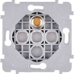 Mecanismo reforzado oro...