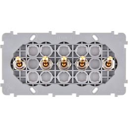 Mechanism reinforced gold...