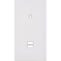 Switch plate Désir matt...