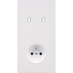 Switch plate Désir matt...