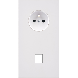 Switch plate Désir matt...