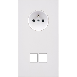 Switch plate Désir matt...