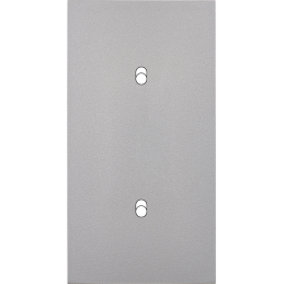 Switch plate Désir ALU matt...