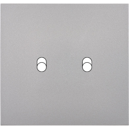 Switch plate Désir ALU matt...