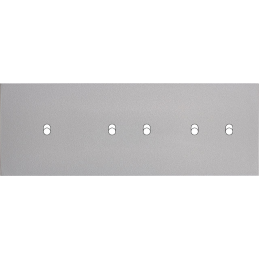 Switch plate Désir ALU matt...