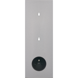 Switch plate Désir ALU matt...