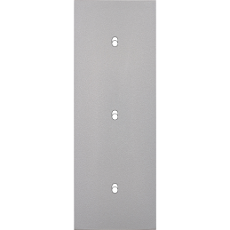 Switch plate Désir ALU matt...