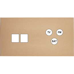 Switch plate Désir gold...