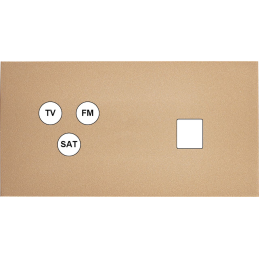 Switch plate Désir gold...