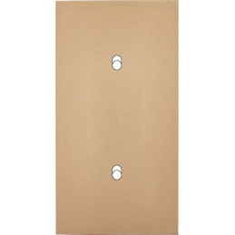 Switch plate Désir gold...