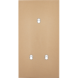 Switch plate Désir gold...