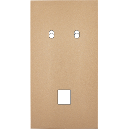 Switch plate Désir gold...