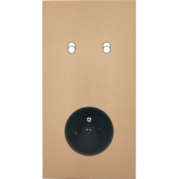 Switch plate Désir gold...