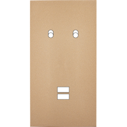 Switch plate Désir gold...