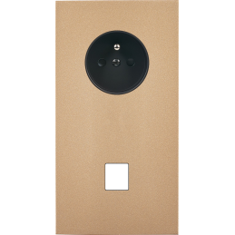 Switch plate Désir gold...