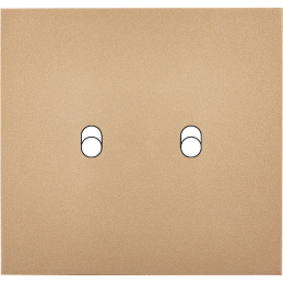 Switch plate Désir gold...