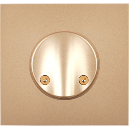 Switch plate Désir gold...