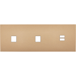 Switch plate Désir gold...