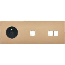 Switch plate Désir gold...