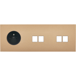 Switch plate Désir gold...