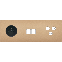 Switch plate Désir gold...