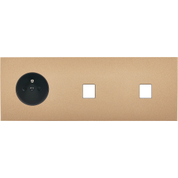 Switch plate Désir gold...