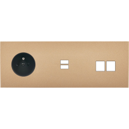 Switch plate Désir gold...