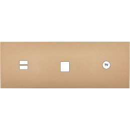 Switch plate Désir gold...