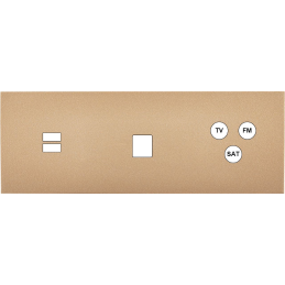 Switch plate Désir gold...