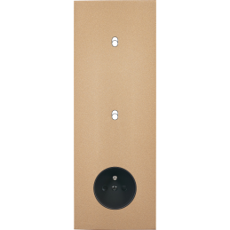 Switch plate Désir gold...