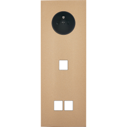 Switch plate Désir gold...