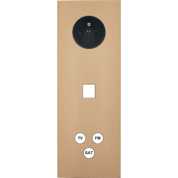 Switch plate Désir gold...