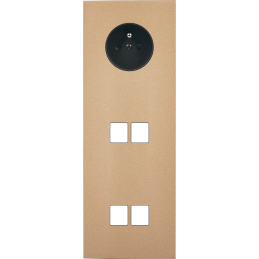 Switch plate Désir gold...