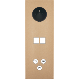 Switch plate Désir gold...