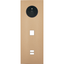 Switch plate Désir gold...