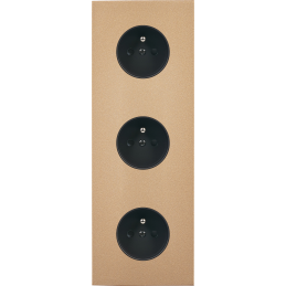 Placa del interruptor Désir...