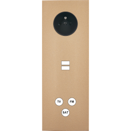 Switch plate Désir gold...