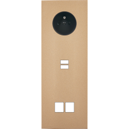 Switch plate Désir gold...