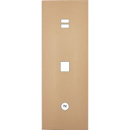 Switch plate Désir gold...