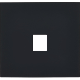 Placa del interruptor Désir...