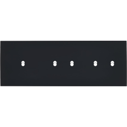 Placa del interruptor Désir...