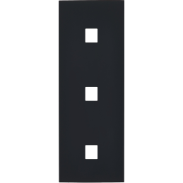 Switch plate Désir Matt...