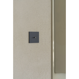 Switch plate Désir Matt...