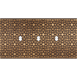 Placa del interruptor...