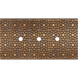 Placa del interruptor...